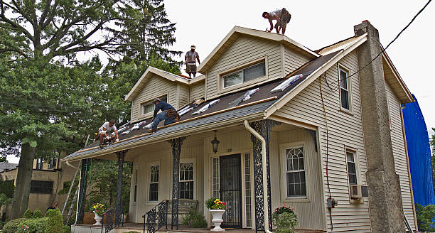 Best Metal Roofing Contractor  in Tarboro, NC